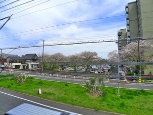 ソルアロマ新松戸の物件内観写真